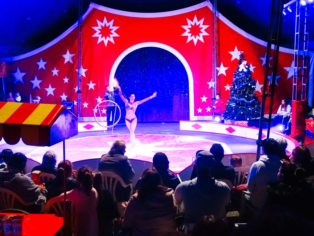 Arbre de noel - Spectacle de cirque sous chapiteau 